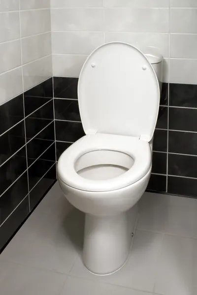 WC ciotola — Foto Stock