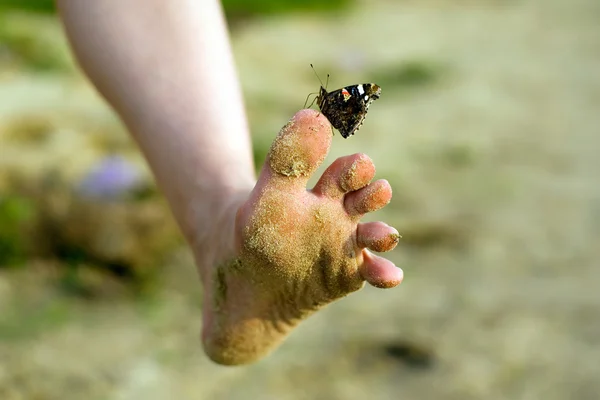 Camminando con farfalla — Foto Stock