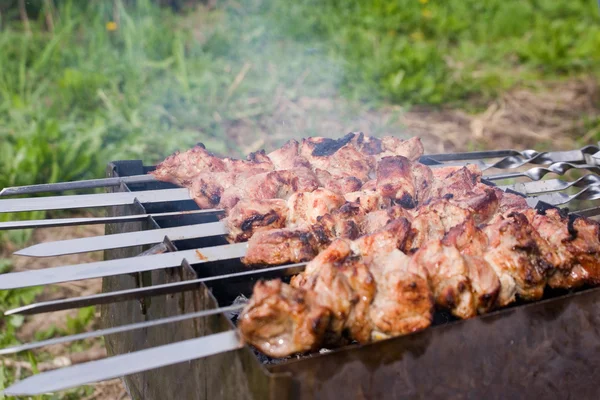 stock image Preparing Shashlik