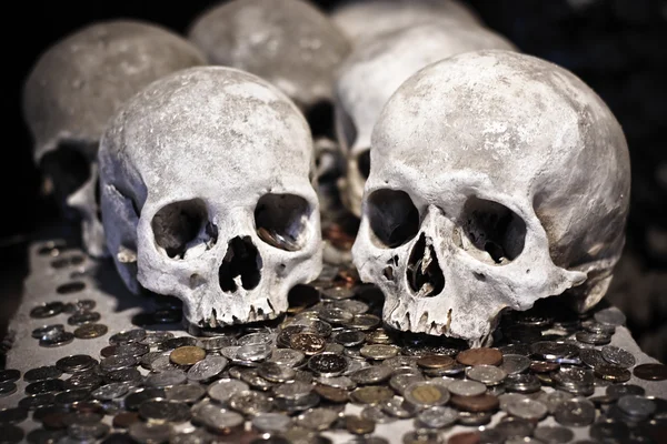 Skulls and coins — Stock Photo, Image
