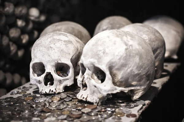 Alte Totenköpfe mit Münzen — Stockfoto