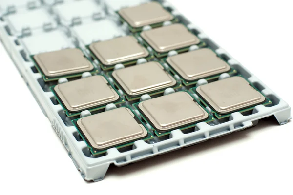 Processors on a substrate — Stock Photo, Image