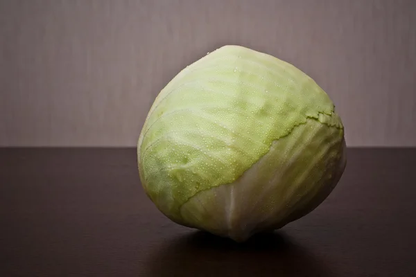 Head of cabbage — Stock Photo, Image