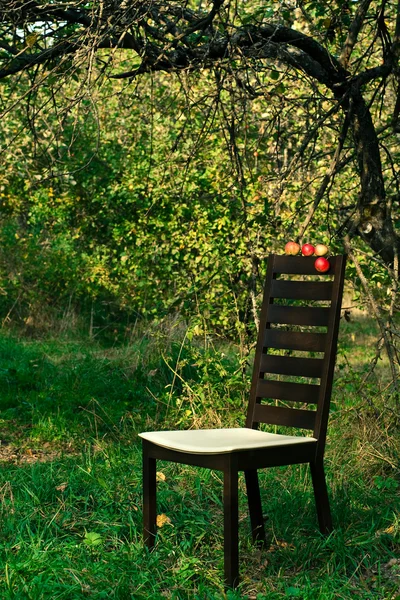 Modern chair in the orchard — Stock Photo, Image