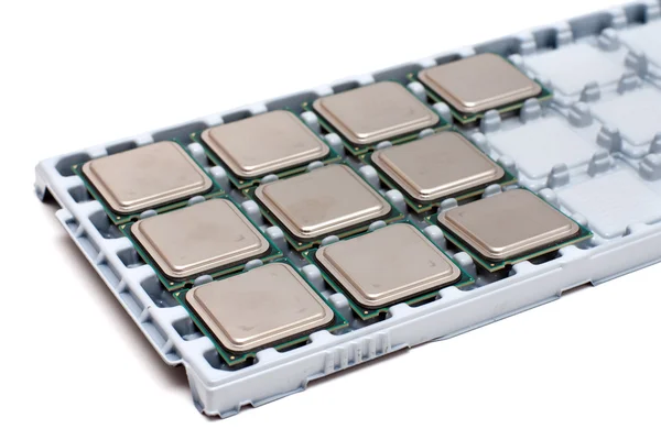 Processors on a substrate — Stock Photo, Image