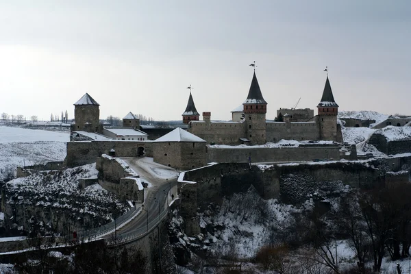 Замок Каменец-Подольский, Украина — стоковое фото