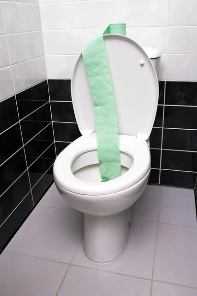 Papel higiénico e vaso sanitário — Fotografia de Stock