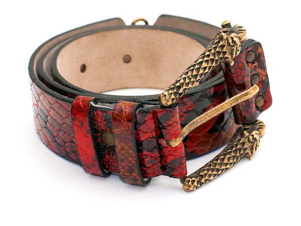 Red snake leather belt — Stock Photo, Image