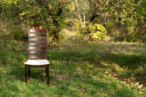 Chair in the garden — Stock Photo, Image