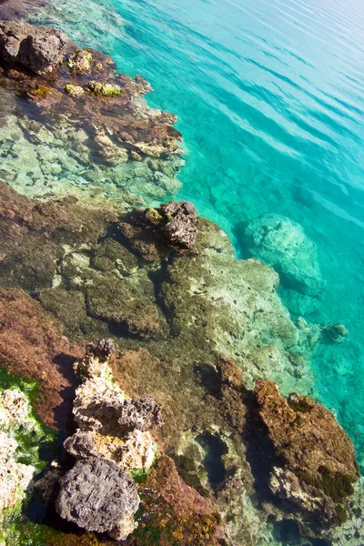 Камни под прозрачной морской водой — стоковое фото