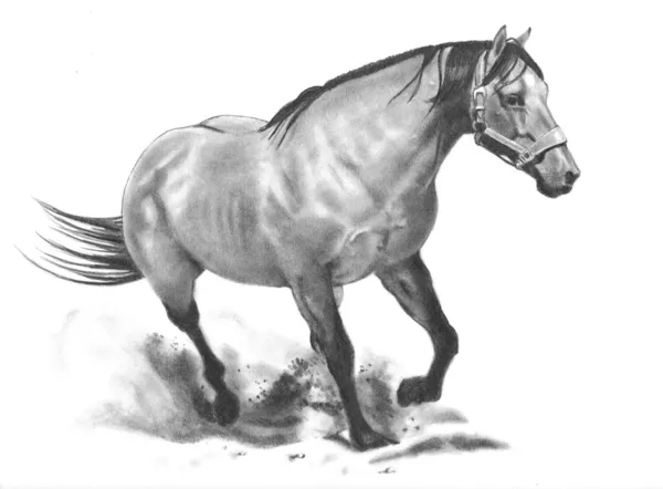 Bleistiftzeichnung eines laufenden Pferdes — Stockfoto