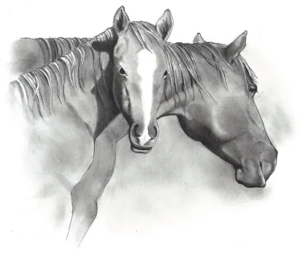 Ritning av hästen och föl — Stockfoto