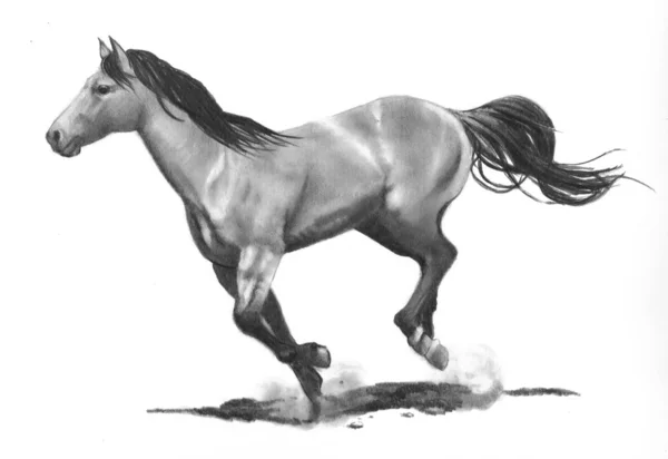 Карандашный рисунок бега лошади — стоковое фото