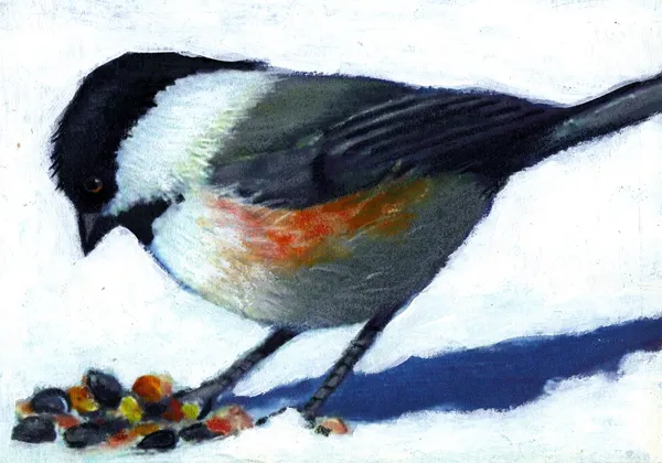 Painting of a Chickadee in Winter — Stock Photo, Image