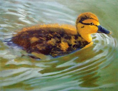 Painting of Duckling Swimming clipart