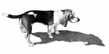 Pencil Drawing of a Beagle Dog clipart