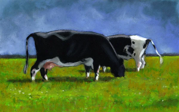 Pastel Painting of Holstein Cows — Stock Photo, Image