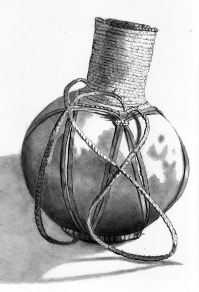 Bleistiftzeichnung eines Kalebassen-Kürbisses — Stockfoto