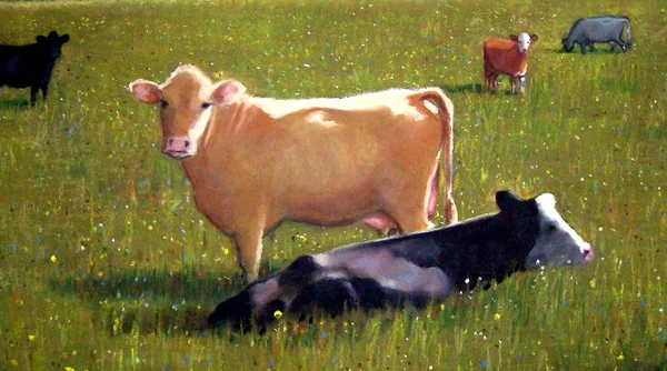 牧草地で牛の絵画 ストックフォト