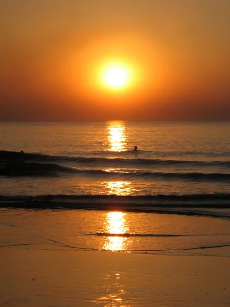 Nuotare al tramonto — Foto Stock