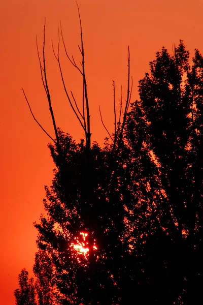 Vörös naplemente — Stock Fotó