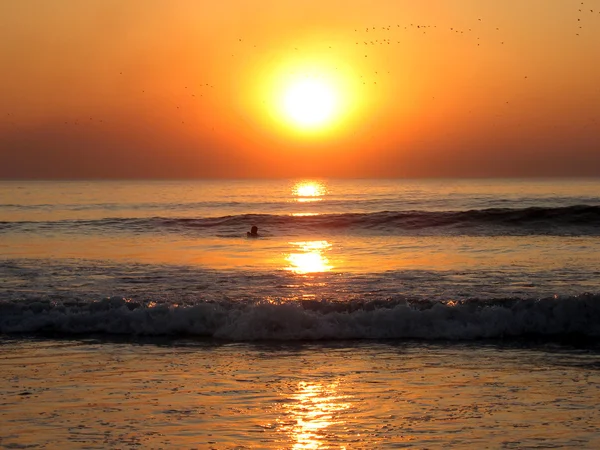 Mann schwimmt bei Sonnenuntergang — Stockfoto