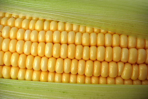 Saboroso milho maduro — Fotografia de Stock