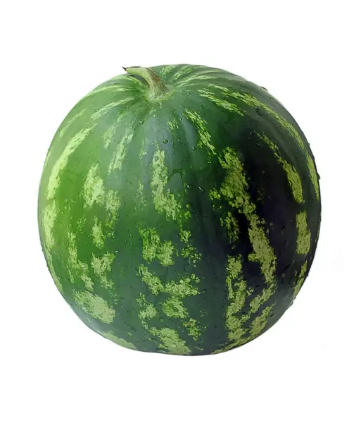 Vandmelon - Stock-foto