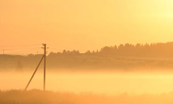 Желтый восход солнца — стоковое фото