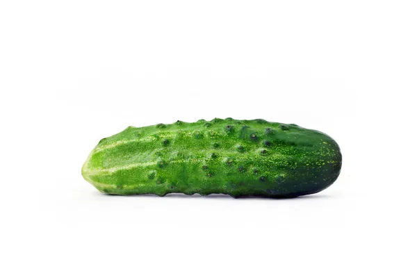 Fresh domestic cucumber — Stock Photo, Image