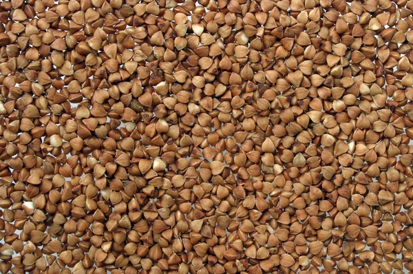 Sfondo fatto da grano saraceno — Foto Stock