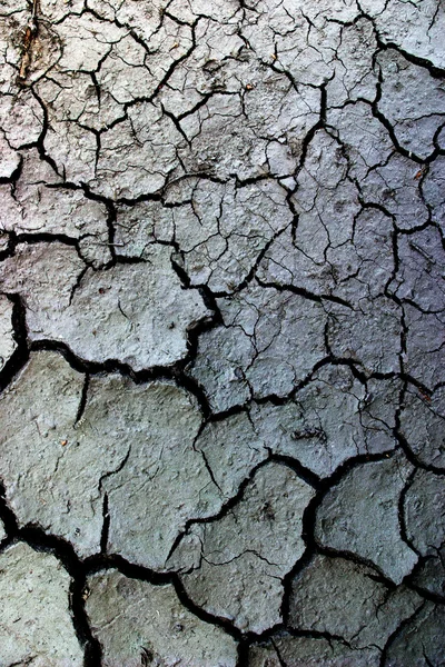 Grunge crack background — Stock Photo, Image