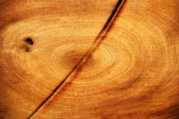 Textura grunge de madeira — Fotografia de Stock