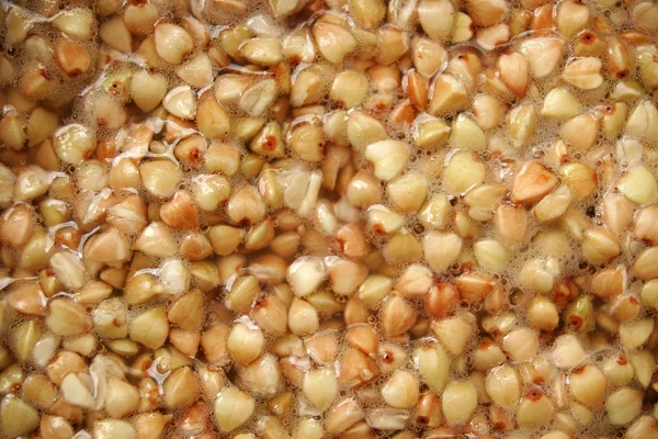 Raw buckwheat — Stock Photo, Image