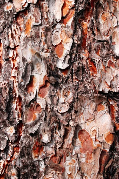 Дерев'яний коричневий гранжевий фон — стокове фото