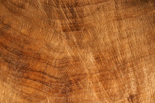 Texture of old stump — Stock Photo, Image