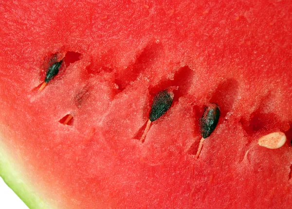 Ripe water melon — Stock Photo, Image