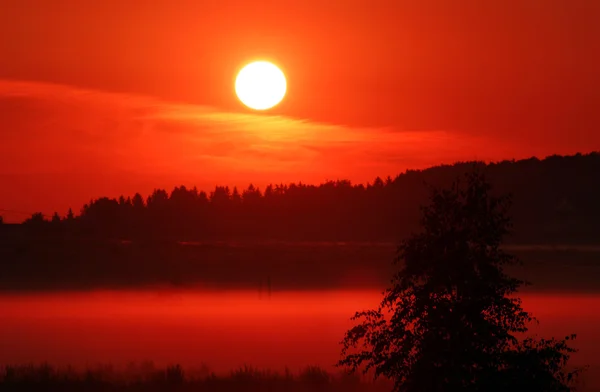 Червоний sunrise — стокове фото