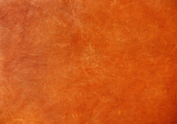 Brown background of leather — Stock Photo, Image