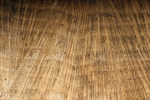 Texture of old stump — Stock Photo, Image