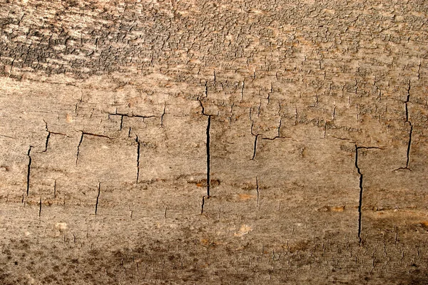 Grunge textuur van gebarsten hout — Stockfoto