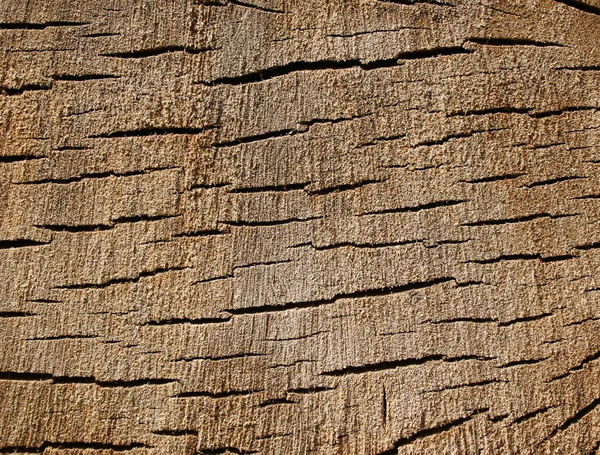 Текстура старого пня — стоковое фото