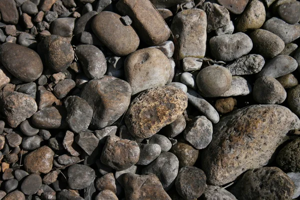 River rocks — Stock Photo, Image