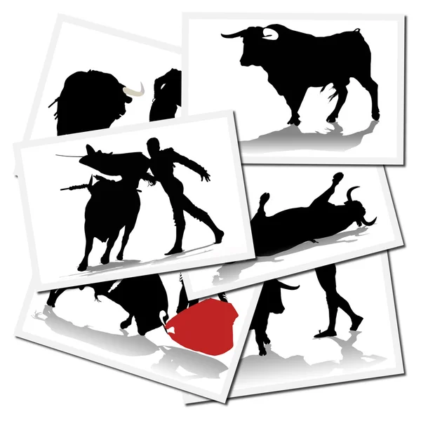 Stierenvechter in actie, Spanje — Stockfoto