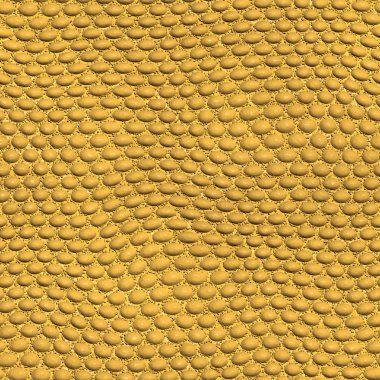 Gila MonsterTexture