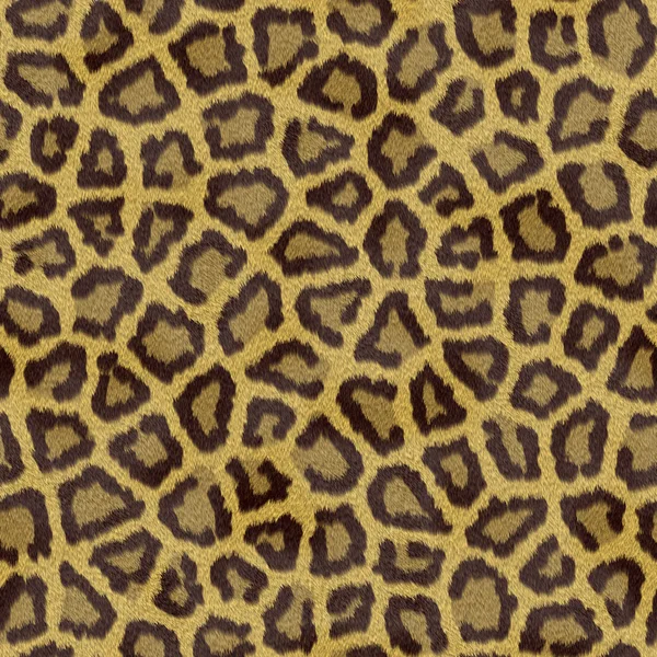 stock image Leopard Texture