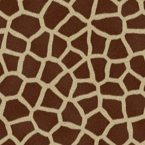 stock image Giraffe Texture