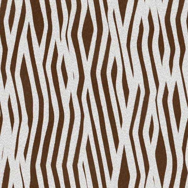 stock image Zebra Texture