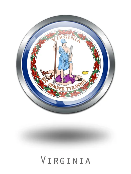3D Virginia Flag button illustration on — Stock Photo, Image