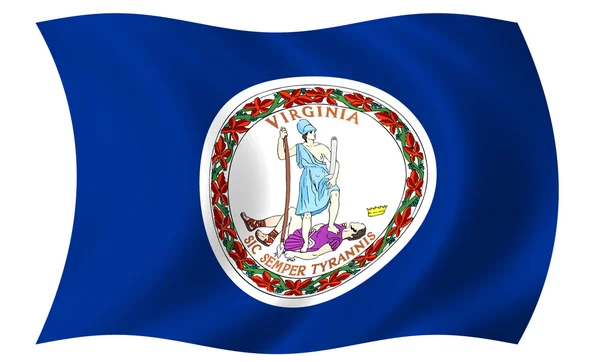 버지니아의 깃발 — 스톡 사진